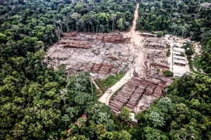 Amazônia Real-Divulgação