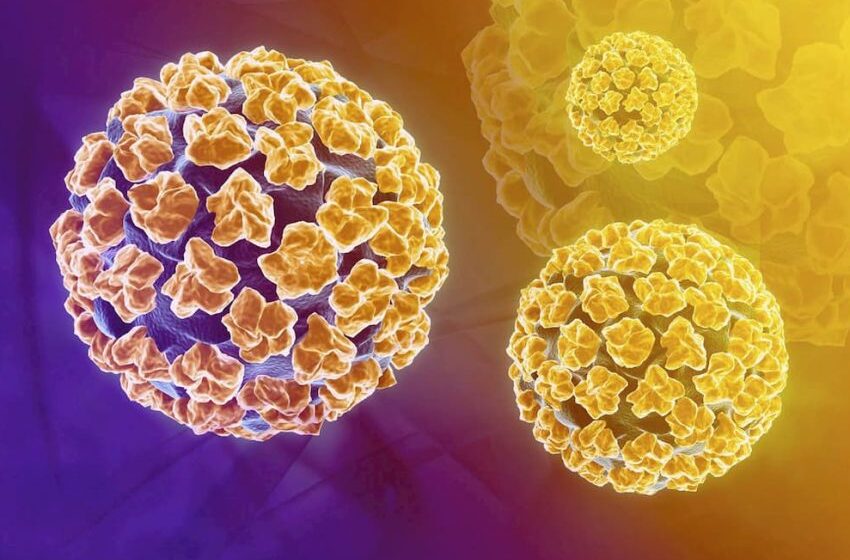  Aumento de Casos de HPV: Saiba como prevenir