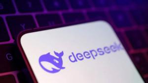 deepseek-1737985748900-16_9