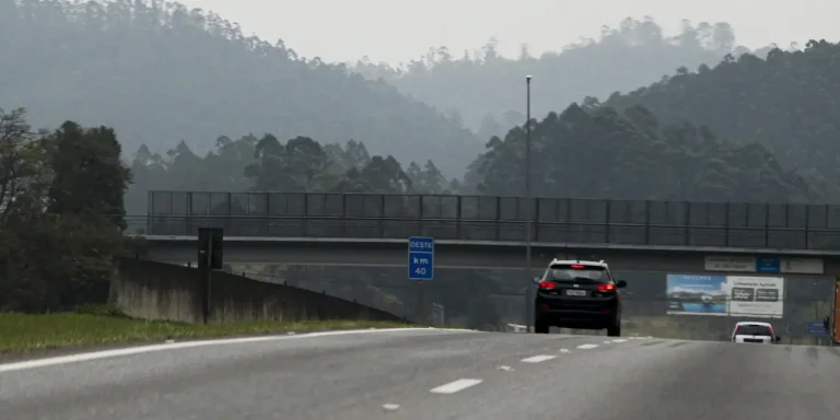 Defesa Civil emite alerta para risco de queimadas no interior de SP