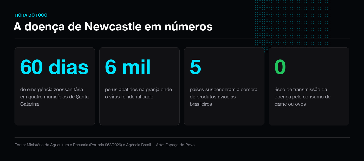 Cartão com os números do foco de Newcastle: 60 dias de emergência, 6 mil perus abatidos, 5 países e zero risco pelo consumo